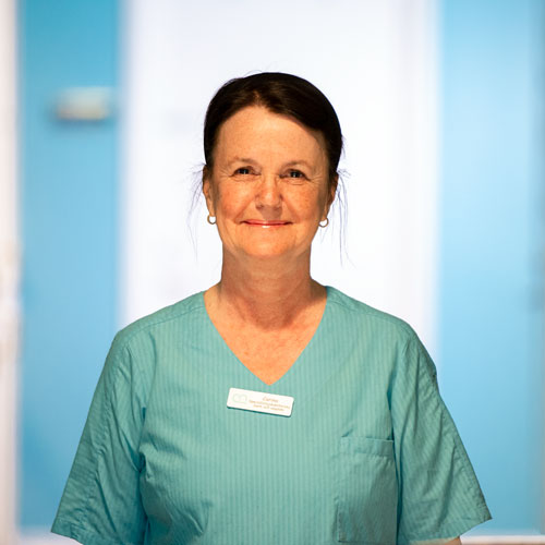 Carina Hyltén-Cavallius